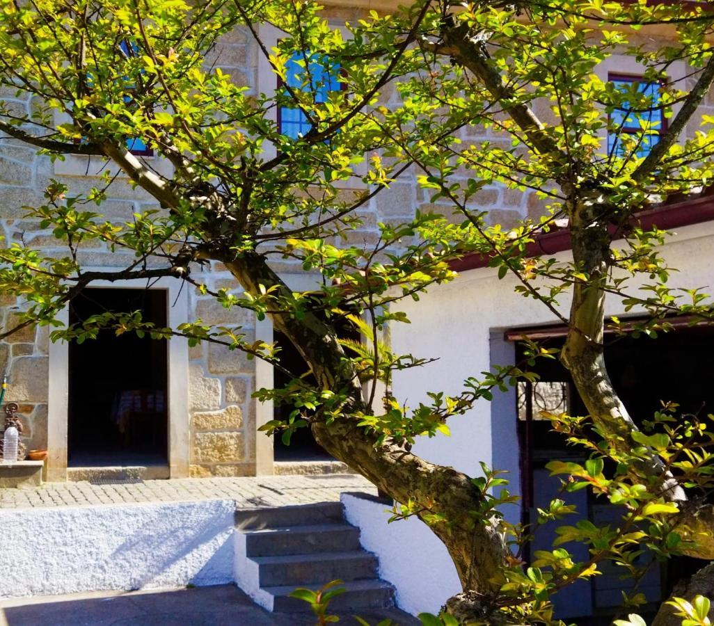 Casa D'Avo Na Villa Termas de Sao Pedro do Sul Dış mekan fotoğraf